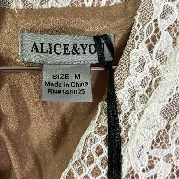NWT Gorgeous Alice & You through Boston Proper lace dress with lace up front! - Picture 10 of 11
